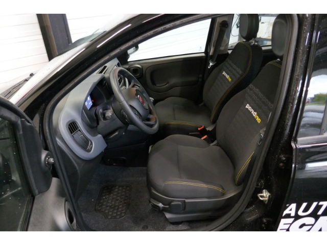 Fahrzeugabbildung Fiat Panda 1.0 Mild Hybrid EU6e , City Paket, PDC hinten, Tempomat