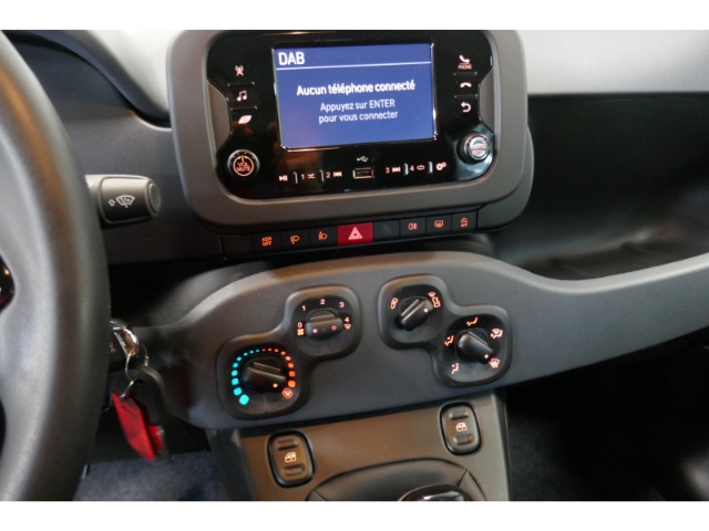 Fahrzeugabbildung Fiat Panda 1.0 Mild Hybrid EU6e , City Paket, PDC hinten, Tempomat