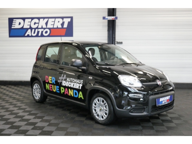 Fahrzeugabbildung Fiat Panda 1.0 Mild Hybrid EU6e , City Paket, PDC hinten, Tempomat