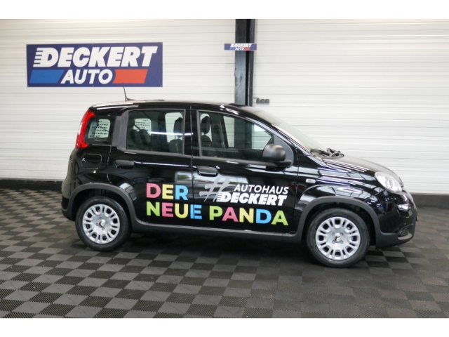 Fahrzeugabbildung Fiat Panda 1.0 Mild Hybrid EU6e , City Paket, PDC hinten, Tempomat