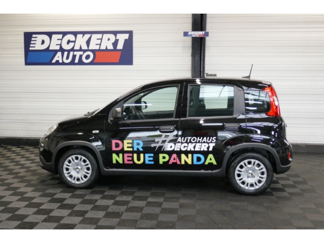 Fahrzeugabbildung Fiat Panda 1.0 Mild Hybrid EU6e , City Paket, PDC hinten, Tempomat
