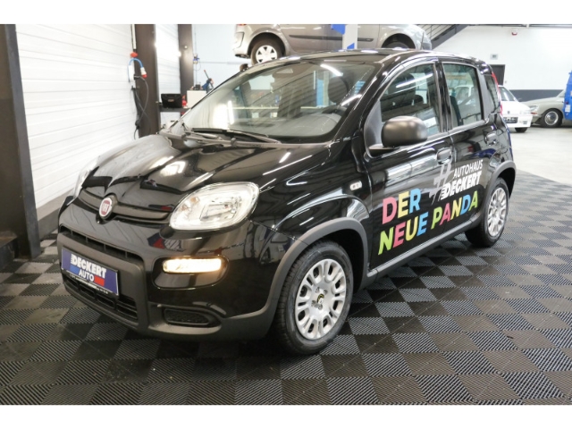Fahrzeugabbildung Fiat Panda 1.0 Mild Hybrid EU6e , City Paket, PDC hinten, Tempomat