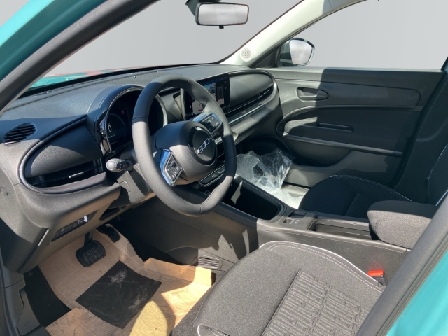 Fahrzeugabbildung Fiat 600 Hybrid Sonderedition , Nav, RFK, SHZ