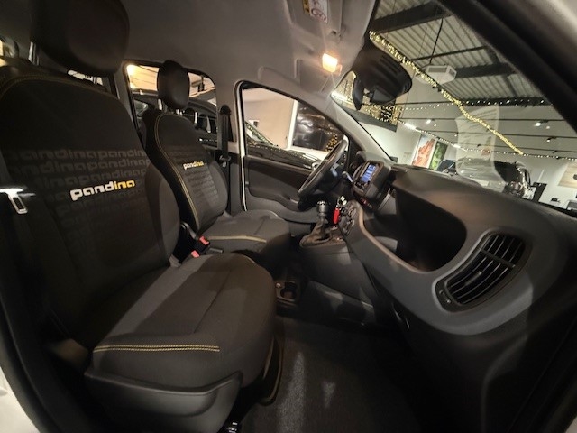 Fahrzeugabbildung Fiat Panda 1.0 Mild Hybrid EU6e, City Paket, Bluetooth, PDC