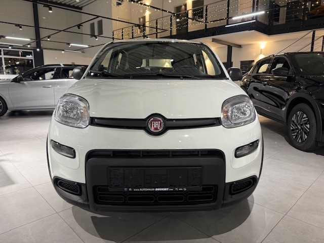 Fahrzeugabbildung Fiat Panda 1.0 Mild Hybrid EU6e, City Paket, Bluetooth, PDC