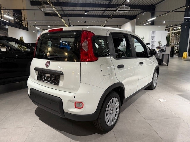 Fahrzeugabbildung Fiat Panda 1.0 Mild Hybrid EU6e, City Paket, Bluetooth, PDC