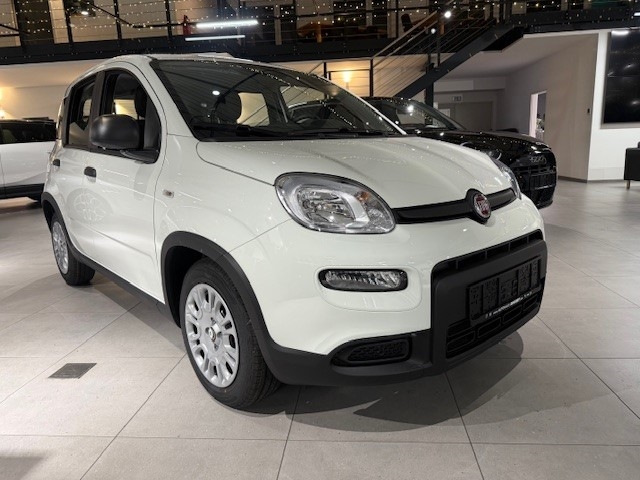 Fahrzeugabbildung Fiat Panda 1.0 Mild Hybrid EU6e, City Paket, Bluetooth, PDC