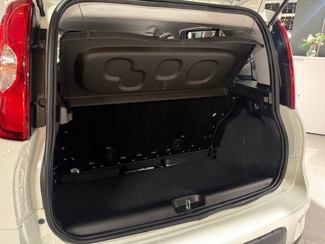 Fahrzeugabbildung Fiat Panda 1.0 Mild Hybrid EU6e, City Paket, Bluetooth, PDC