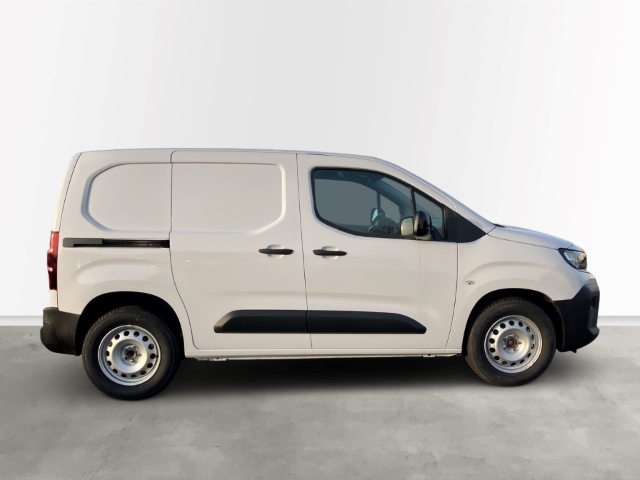 Fahrzeugabbildung Opel Combo Cargo Schlechtwege-Paket Vorber. AHK Holz Boden & Wände LED Musikstreaming DAB