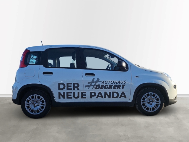 Fahrzeugabbildung Fiat Panda 1.0 Mild Hybrid EU6e, Bluetooth, Tempomat