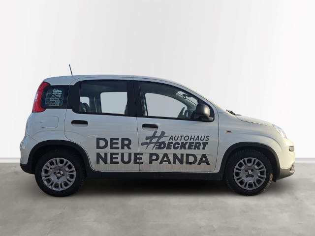 Fahrzeugabbildung Fiat Panda 1.0 Mild Hybrid EU6e, Bluetooth, Tempomat