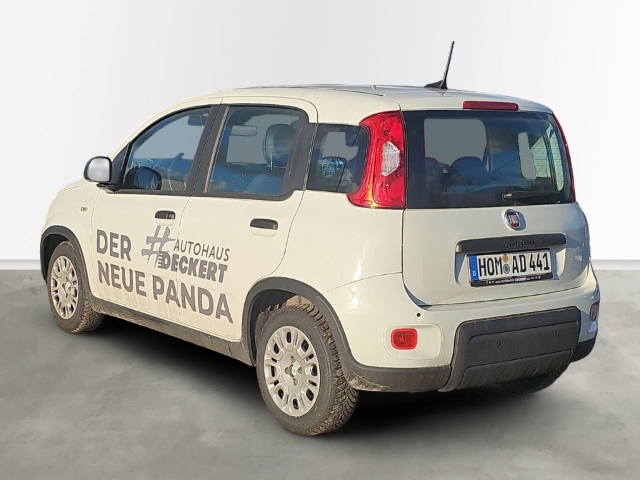 Fahrzeugabbildung Fiat Panda 1.0 Mild Hybrid EU6e, Bluetooth, Tempomat