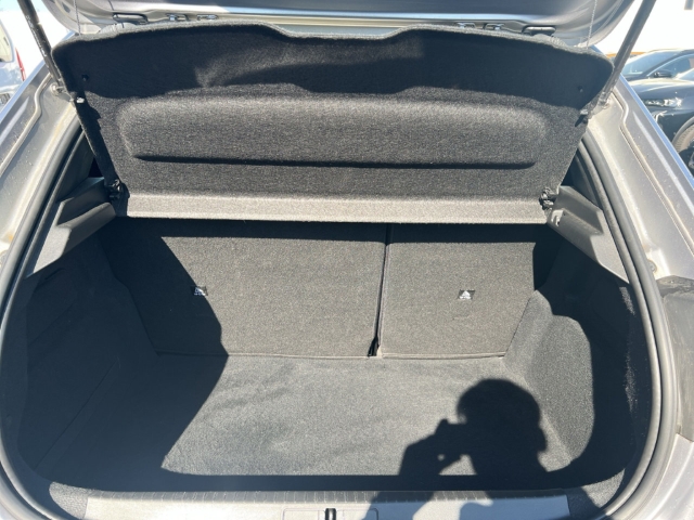Fahrzeugabbildung Peugeot e-208 Active Pack LED DAB SHZ Spurhalteass. Verkehrszeichenerk. Notbremsass. Temp