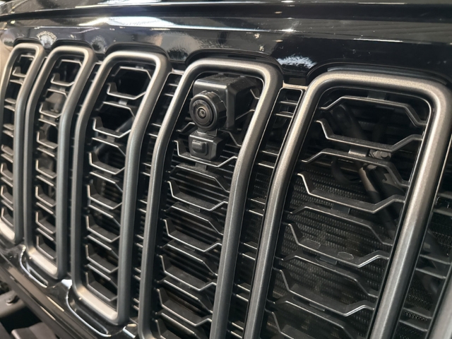 Fahrzeugabbildung Jeep Wrangler Unlimited Rubicon, Sky One Power Softtop, Navi, RFK