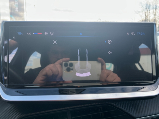 Fahrzeugabbildung Peugeot 208 Active Fahrerprofil DAB Keyless Spurhalteass. Verkehrszeichenerk. Notbremsass.
