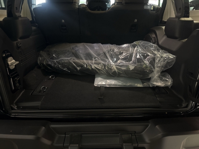 Fahrzeugabbildung Jeep Wrangler Unlimited Rubicon, Sky On Power Softtop, Navi, RFK