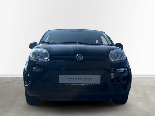 Fahrzeugabbildung Fiat Panda 1.0 Mild Hybrid EU6e, City Paket, Bluetooth, PDC - mit KI generiert/bearbeitet