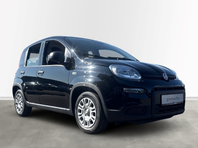 Fahrzeugabbildung Fiat Panda 1.0 Mild Hybrid EU6e, City Paket, Bluetooth, PDC - mit KI generiert/bearbeitet