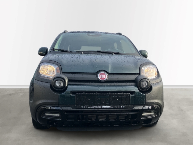 Fahrzeugabbildung Fiat Pandina 1.0 GSE Hybrid 48 kW Cross