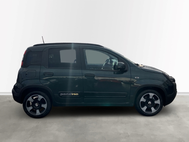 Fahrzeugabbildung Fiat Pandina 1.0 GSE Hybrid 48 kW Cross